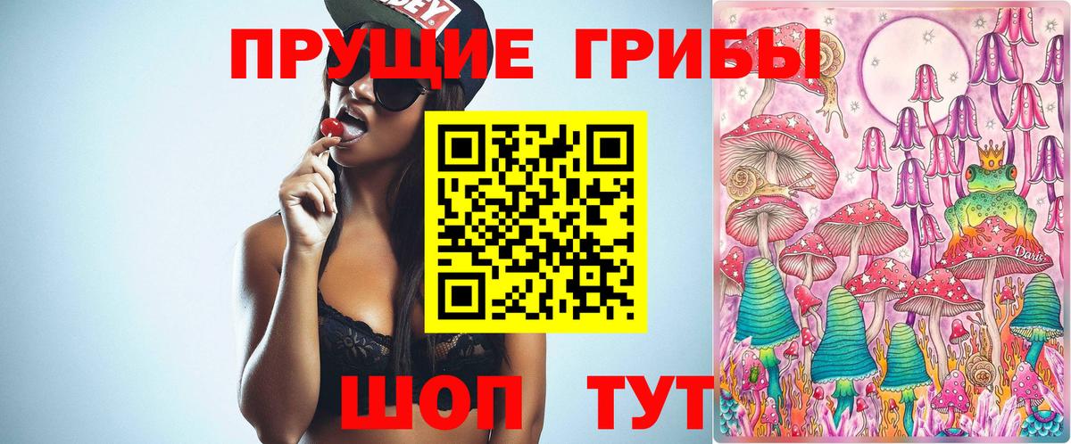 Псилоцибиновые грибы GOLDEN TEACHER Сибай