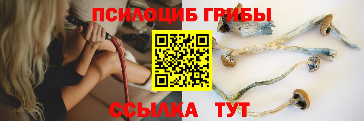 Сибай  Галлюциногенные грибы Psilocybine cubensis  Вход с VPN 